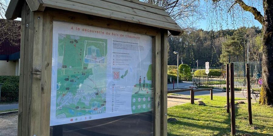 image - Balade à la découverte du Bois de Chaumont
