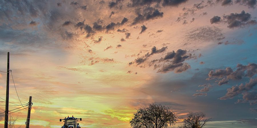 image - Salon d'hiver