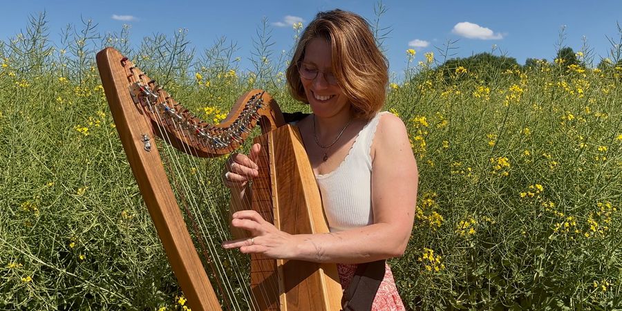 image - Harpe en chemin
