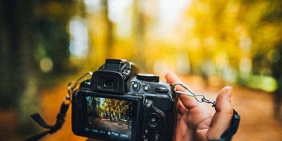 image - Ateliers de photographie avec Valérie Berteau dans le cadre de Place aux Artistes 2025