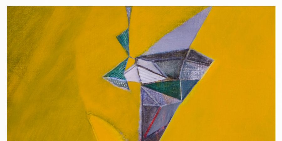 image - Francis De Bolle et ses invités.