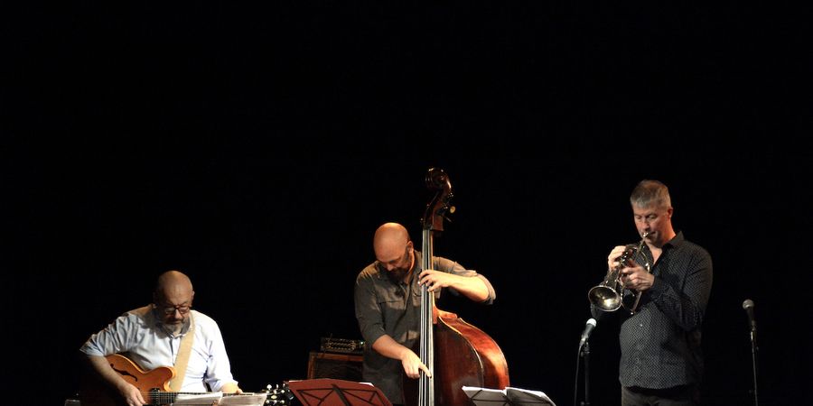 image - Michel Paré trio