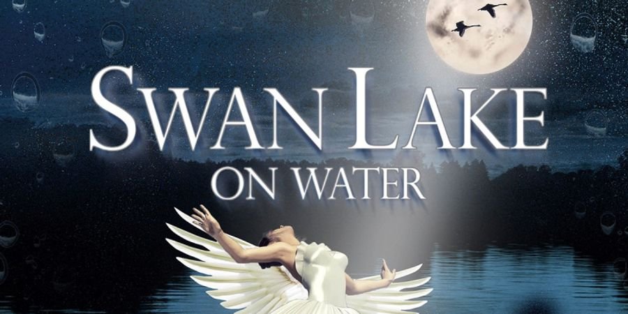 image - Swan Lake on Water