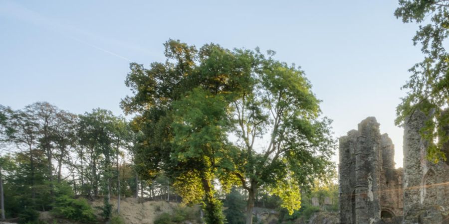 image - Journée Bien-être à l'Abbaye