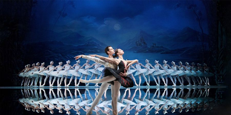 image - Swan Lake