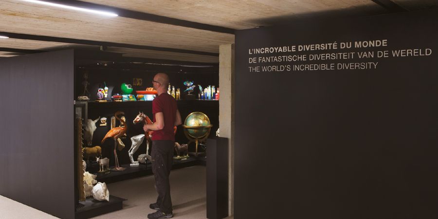 image - Lunch time | Le cabinet de curiosités du Musée L