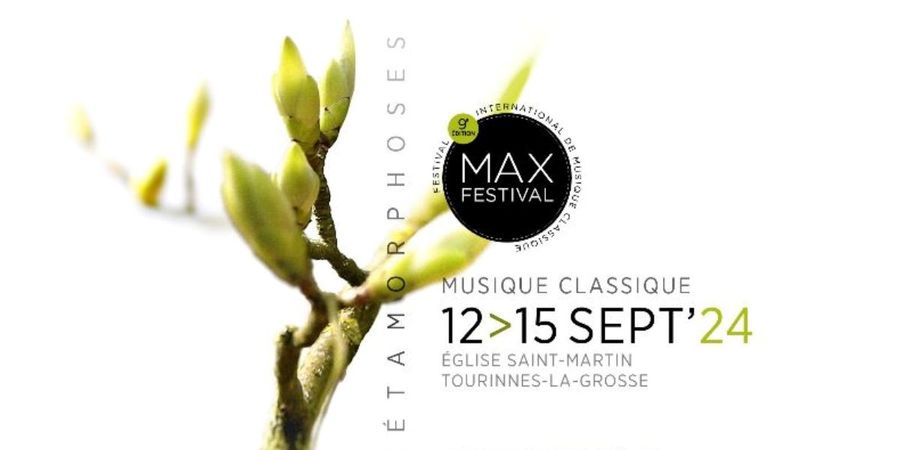 image - Max Festival