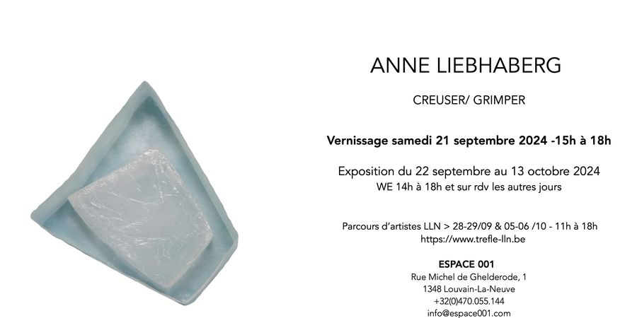 image - exposition Anne Liebhaberg