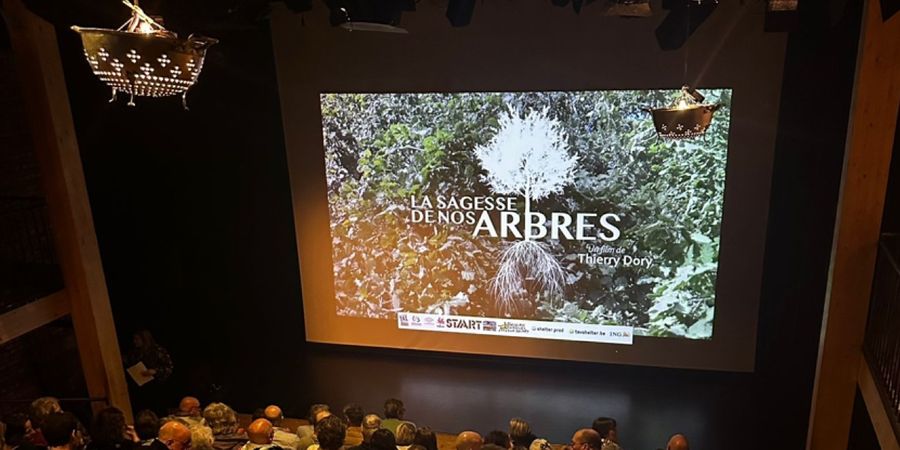 image - La sagesse de nos arbres - Retour au MONTY