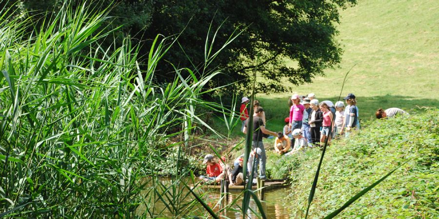 image - Ferme et forêt [4-8 ans]