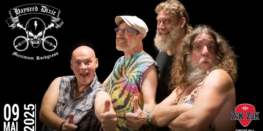 image - Hayseed Dixie (UK)