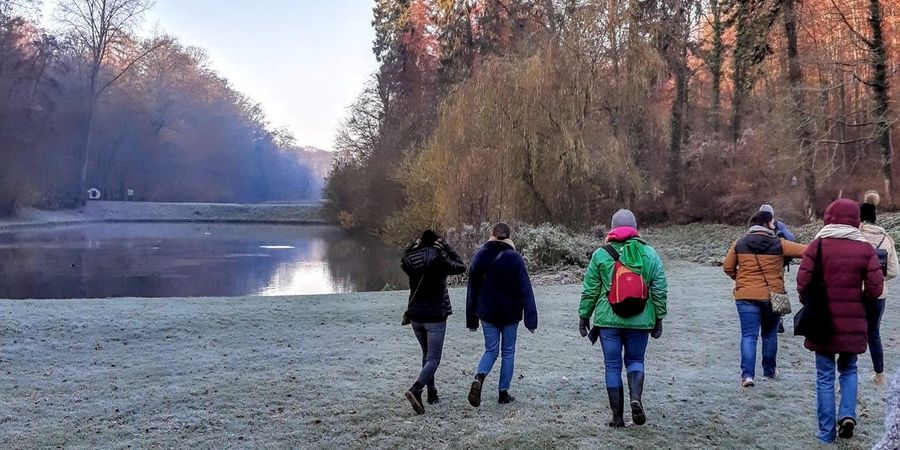 image - Balade plantes sauvages comestibles d'hiver