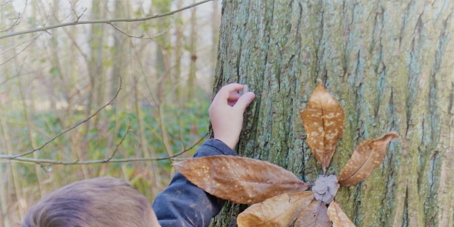 image - Ferme et nature pour les enfants de 6 à 10 ans (stage à la journée)
