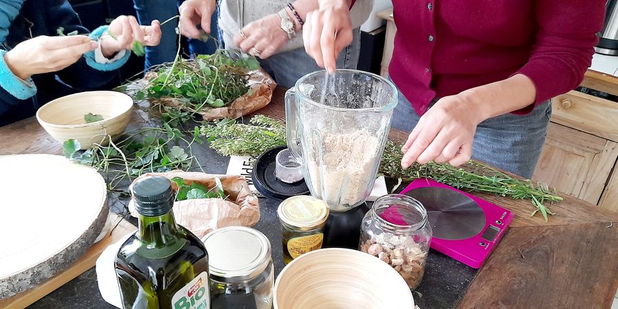 image - À la rencontre des plantes sauvages comestibles et/ou médicinales