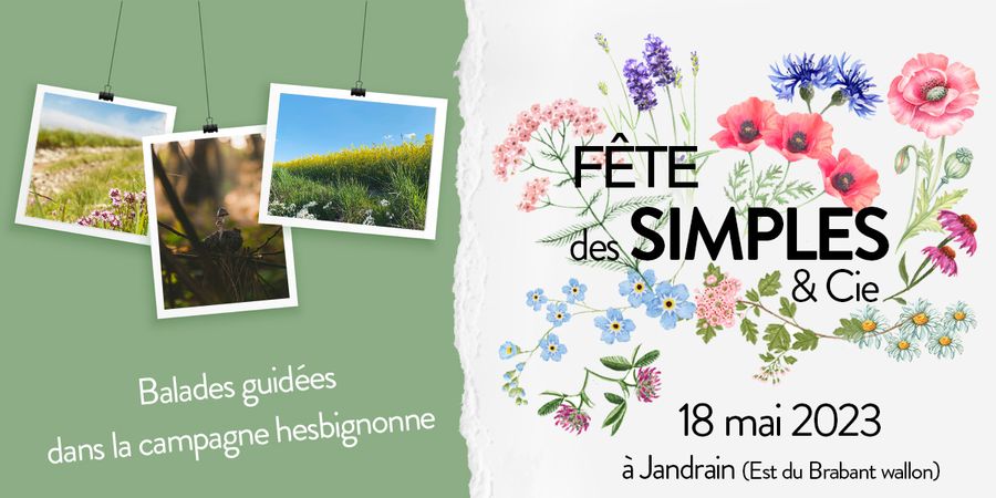 image - Des balades guidées dans la campagne hesbignonne