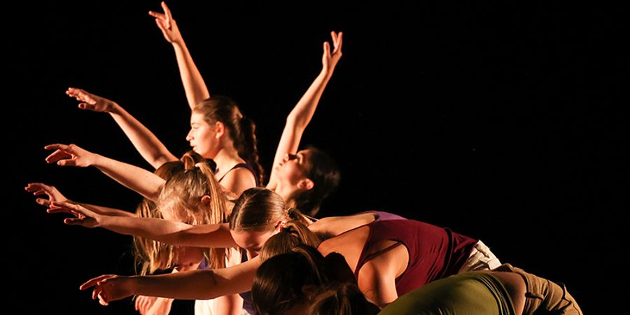 image - Festidanse