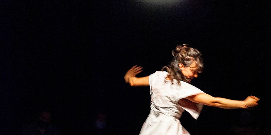 image - Sur le chemin j'ai ramassé des cailloux