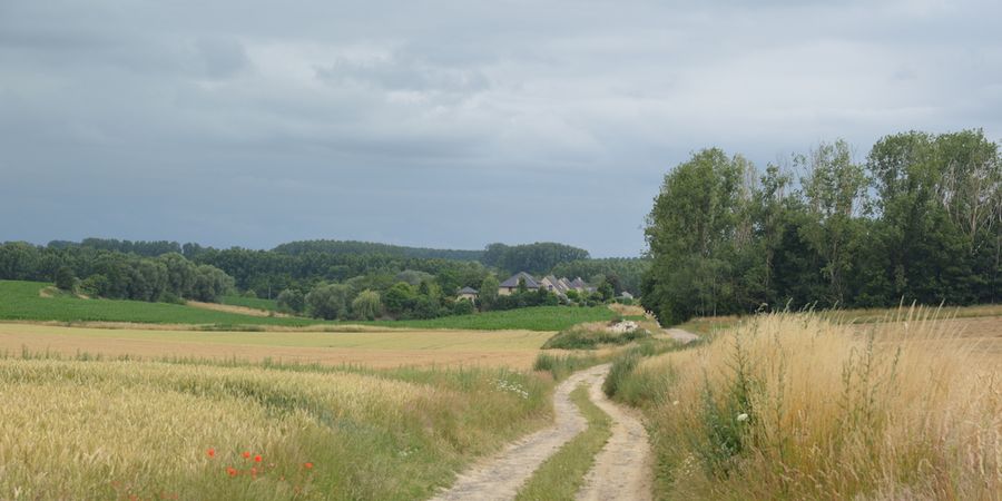image - Balade Nature et Histoire, Conte et Musique - Ramillies