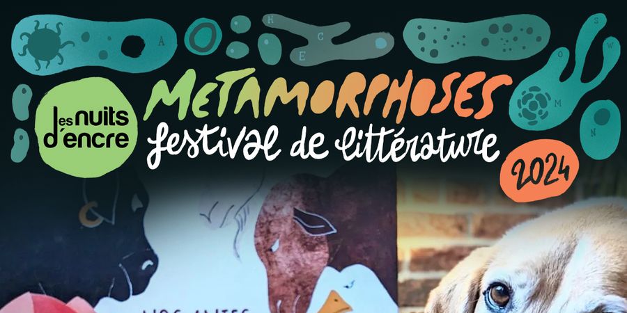 image - Nos amies les bêtes