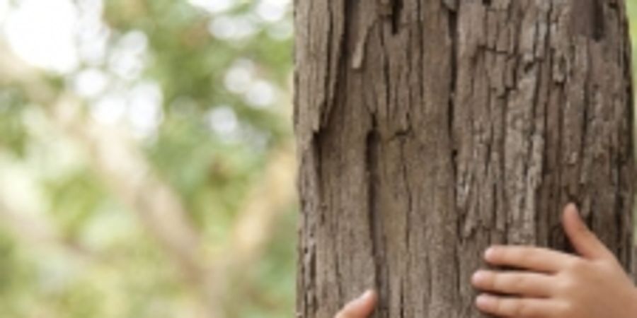 image - Ferme et forêt (4-6 ans)