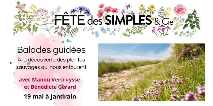 image - Des balades guidées dans la campagne hesbignonne