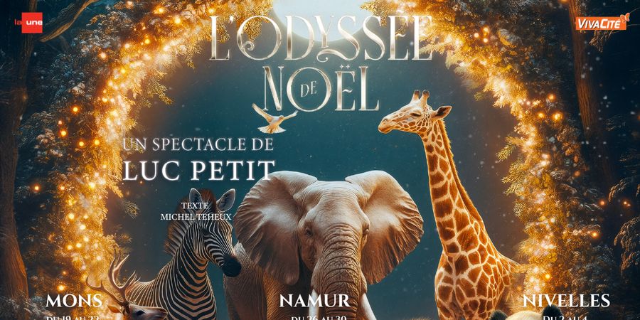 image - L'Odyssée de Noël