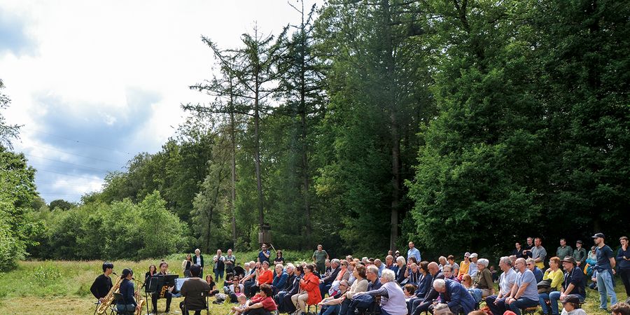 image - Bain de forêt musical
