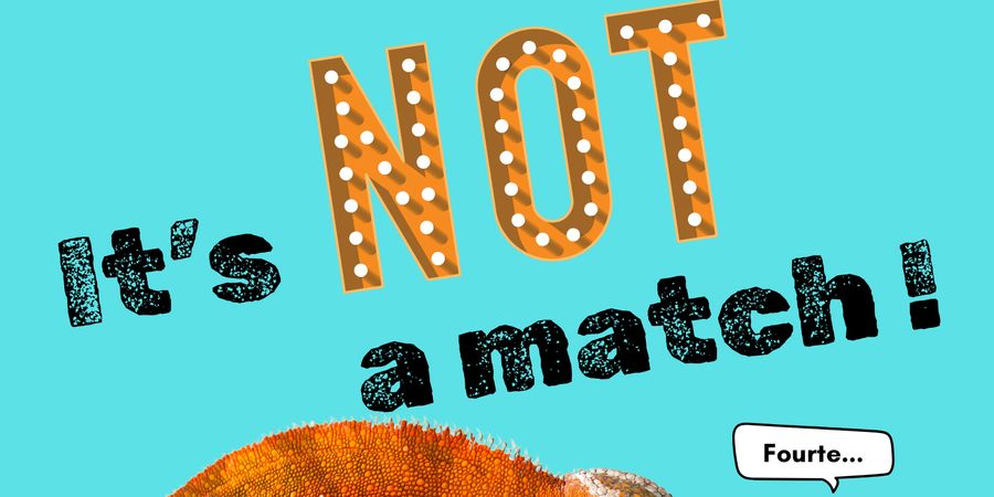 image - It's NOT a match