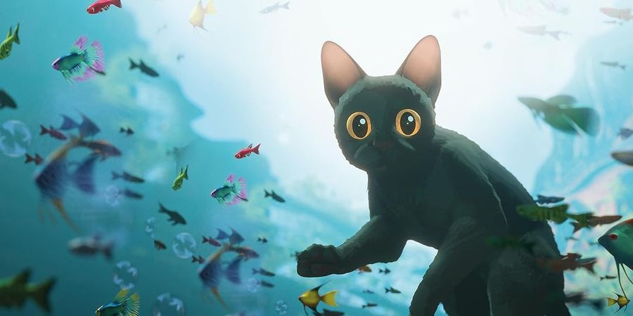 image - CINÉMA EN PLEIN AIR : FLOW