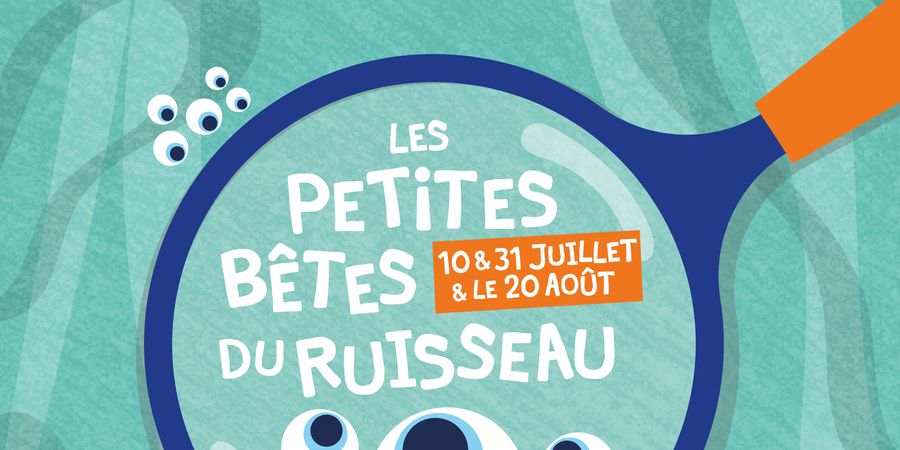 image - Les petites bêtes du ruisseau