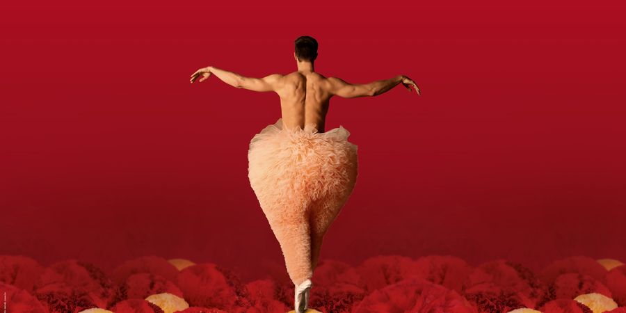 image - Tutu · Chicos Mambo