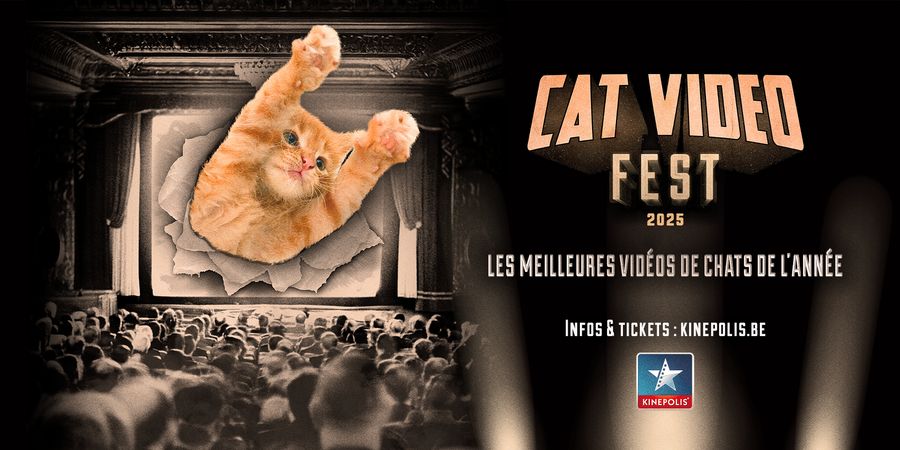 image - Cat Video Fest - Kinepolis Braine l'Alleud