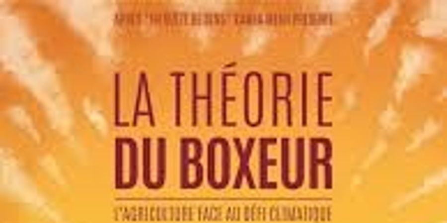 image - Ciné débat: La théorie du boxeur